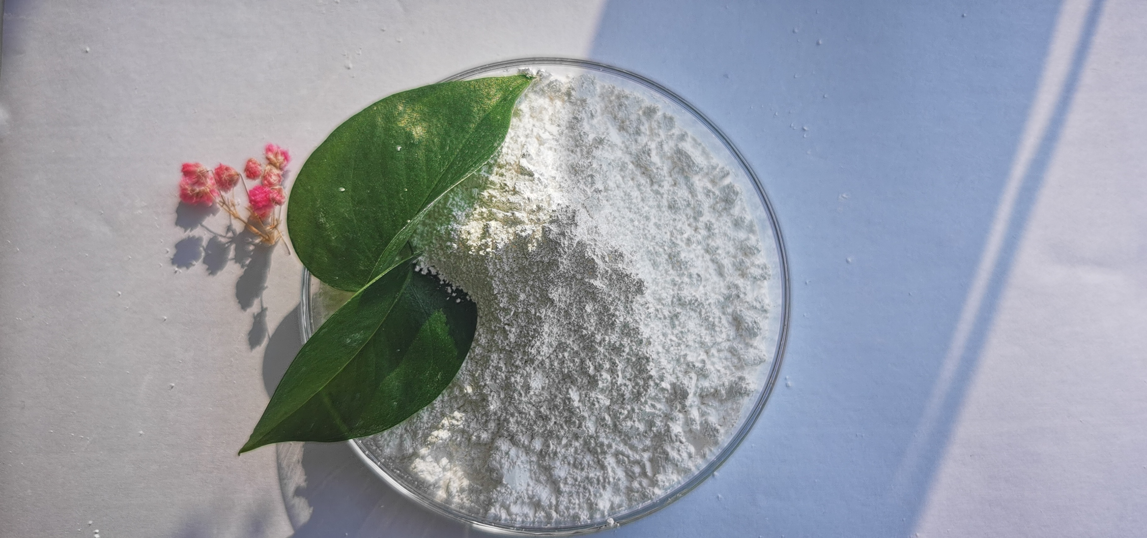 Superfine Aluminum Hydroxide